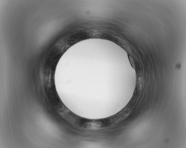 X0000089900525200707262253