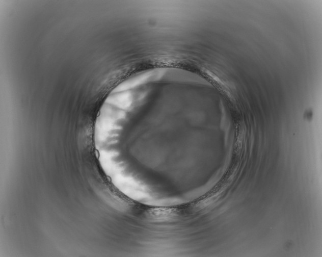 X0000089900526200707262253