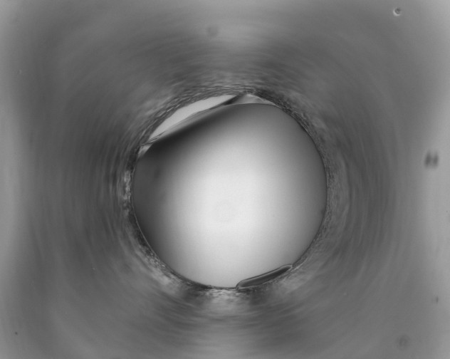 X0000089900528200707262253