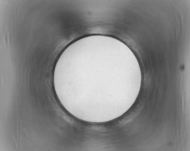 X0000089900529200707262253