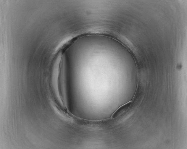 X0000089900530200707262253