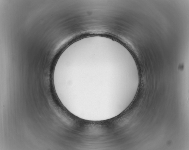 X0000089900535200707262253
