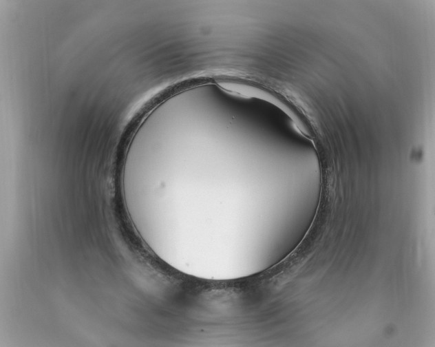 X0000089900536200707262253