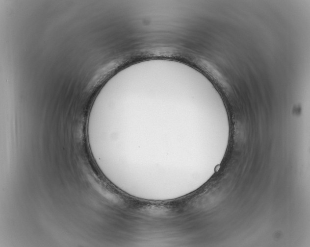 X0000089900537200707262253