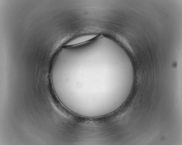 X0000089900538200707262253