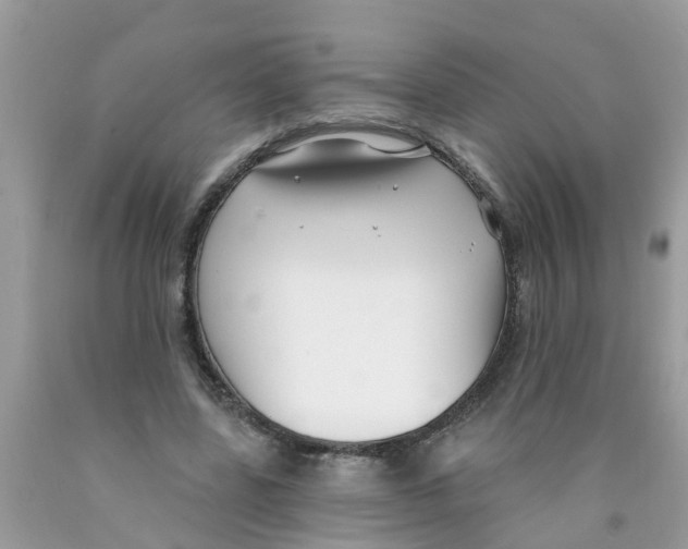 X0000089900539200707262253