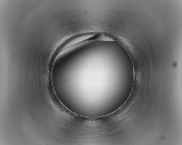 X0000089900540200707262253