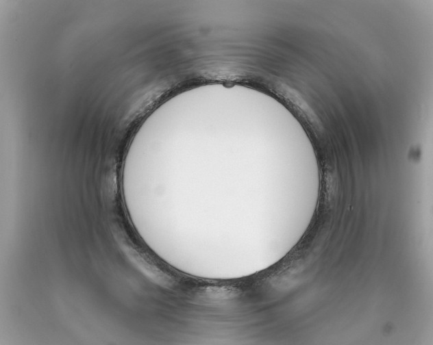 X0000089900541200707262253