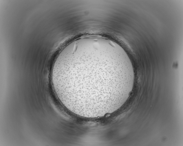 X0000089900542200707262253