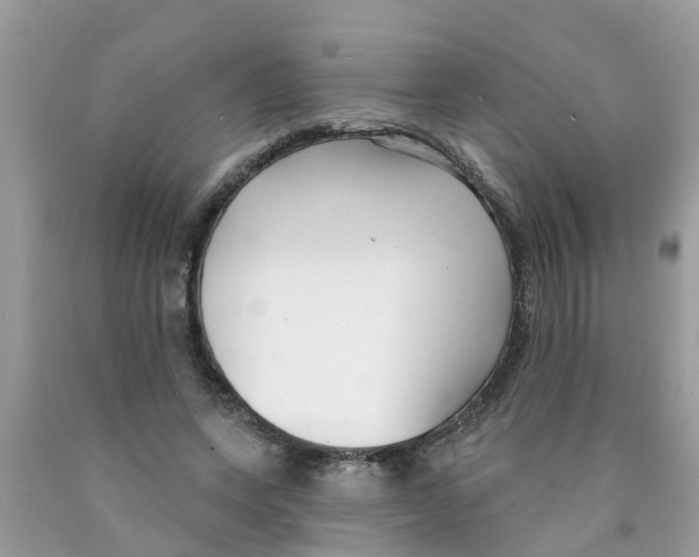 X0000089900543200707262253