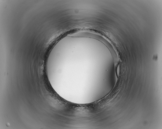 X0000089900544200707262253