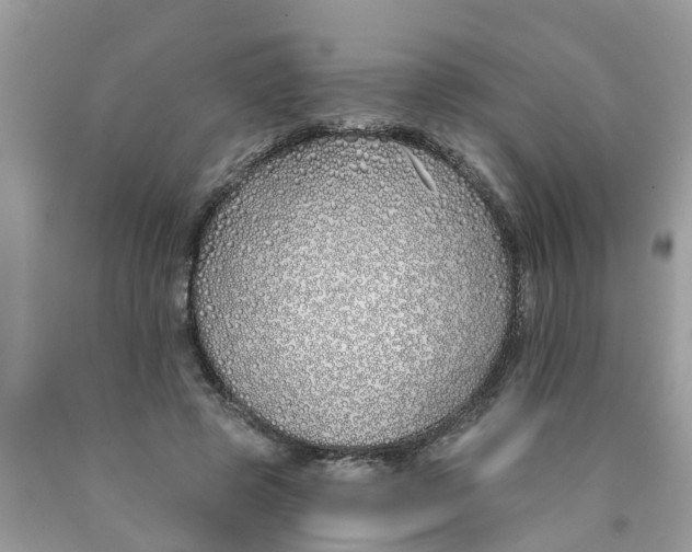 X0000089900545200707262253