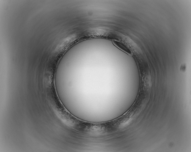 X0000089900546200707262253