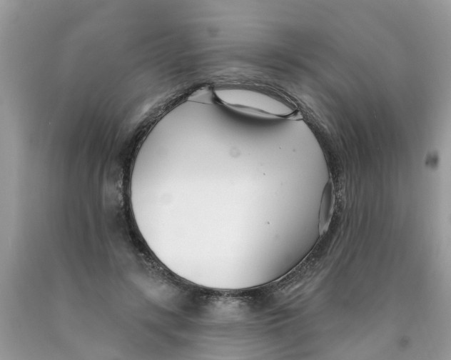 X0000089900547200707262253