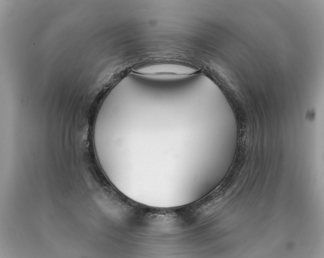 X0000089900548200707262253