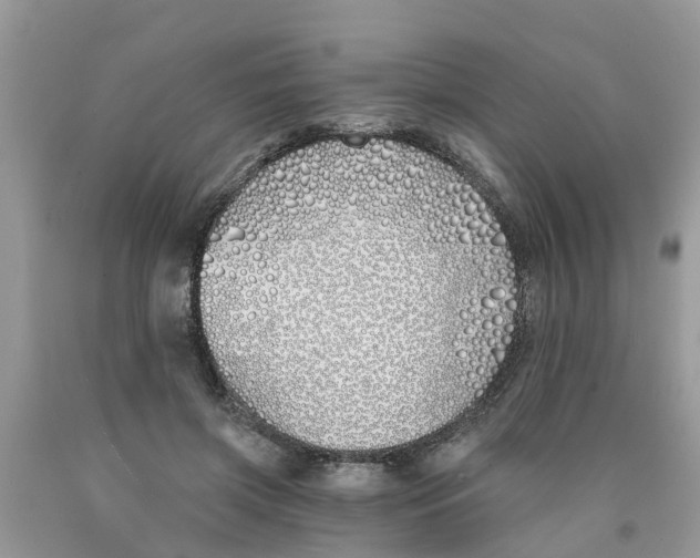 X0000089900549200707262253
