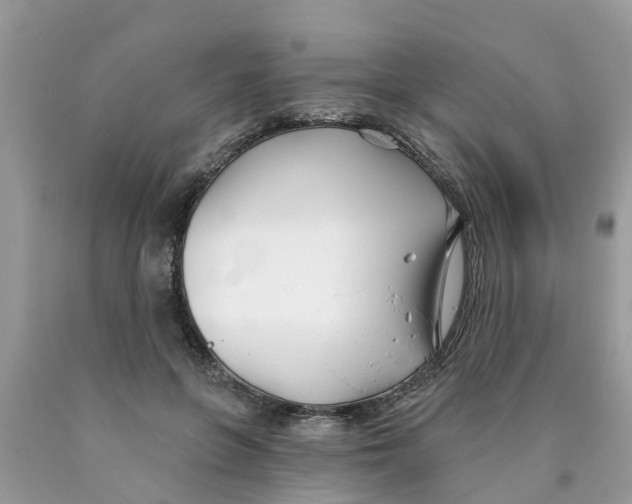 X0000089900551200707262253