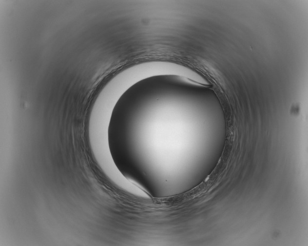 X0000089900552200707262253
