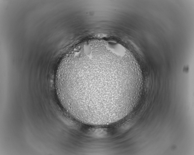 X0000089900553200707262253