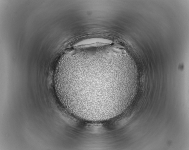 X0000089900554200707262253