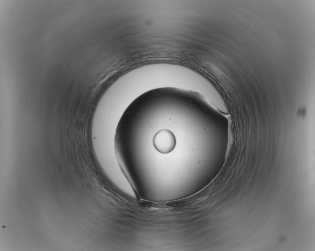 X0000089900556200707262253