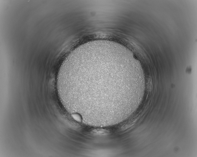 X0000089900557200707262253