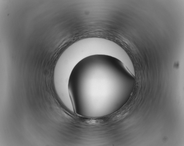 X0000089900558200707262253