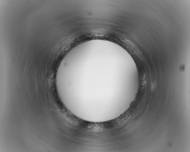 X0000089900559200707262253