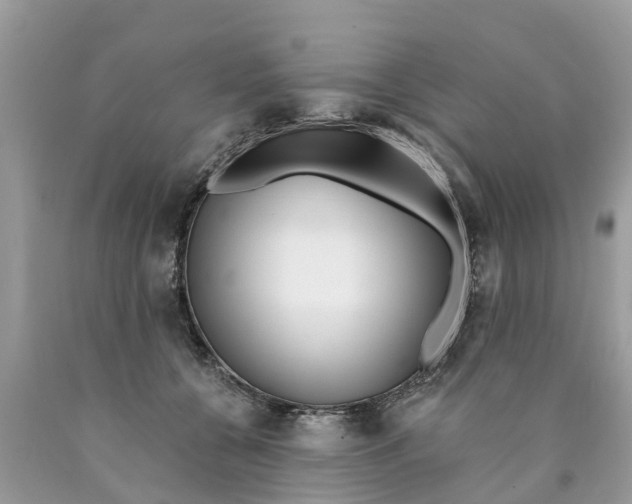 X0000089900560200707262253