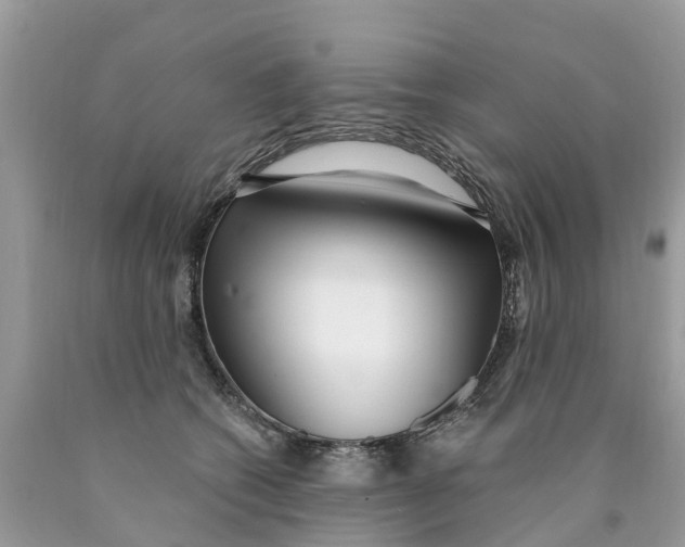 X0000089900562200707262253