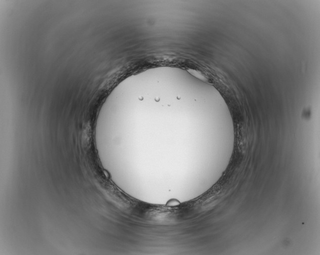 X0000089900563200707262253