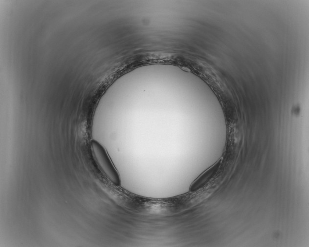 X0000089900564200707262253