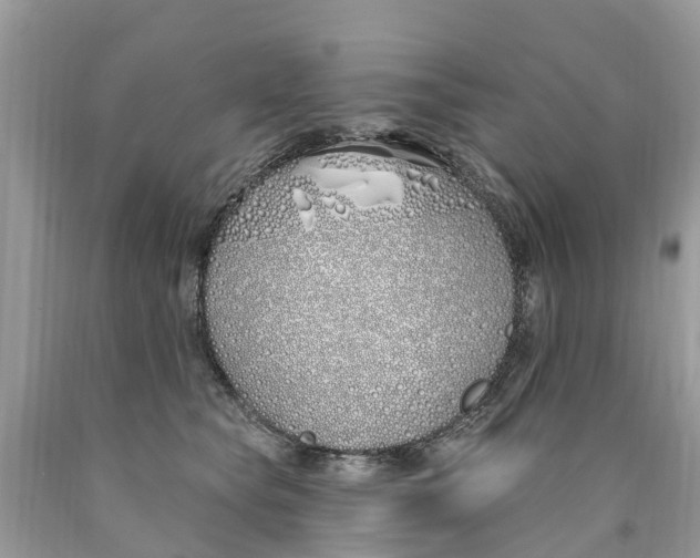 X0000089900565200707262253