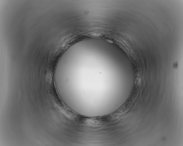 X0000089900568200707262253