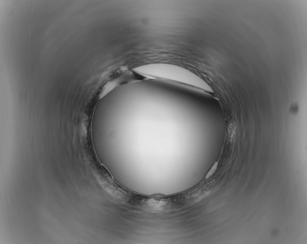 X0000089900570200707262253