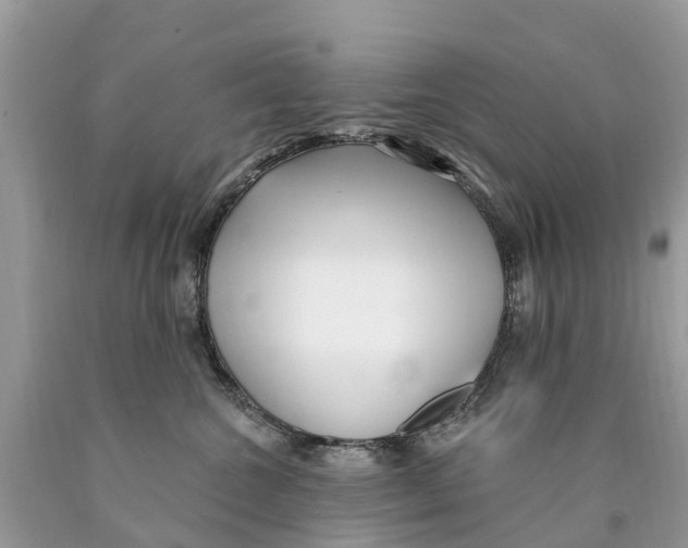 X0000089900572200707262253