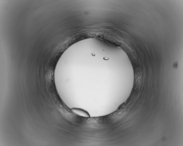 X0000089900574200707262253