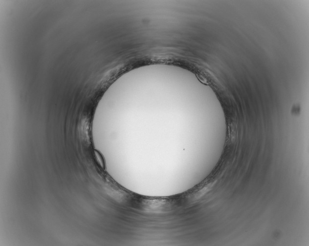 X0000089900575200707262253