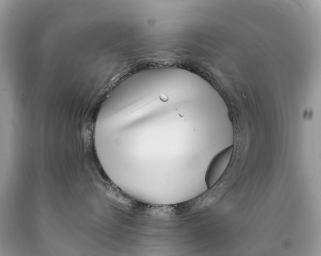 X0000089900576200707262253
