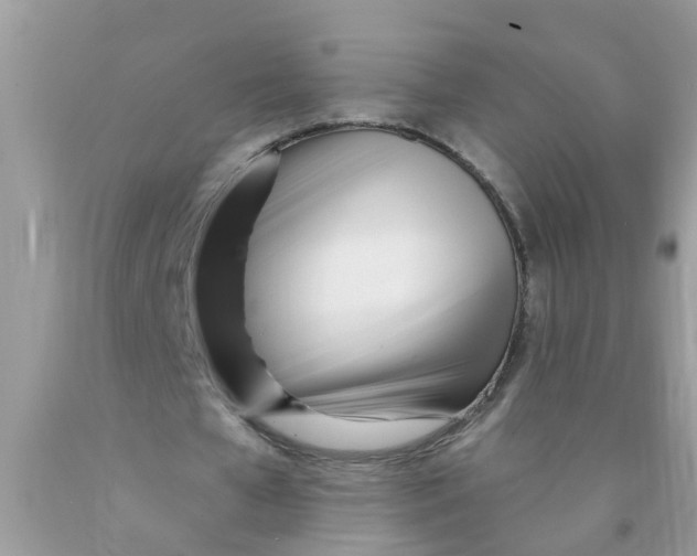 X0000089900577200707262253