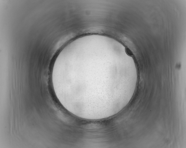 X0000089900578200707262253