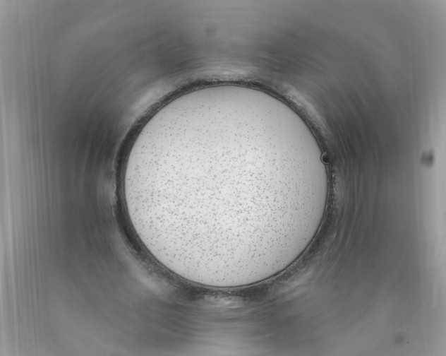 X0000089900582200707262253