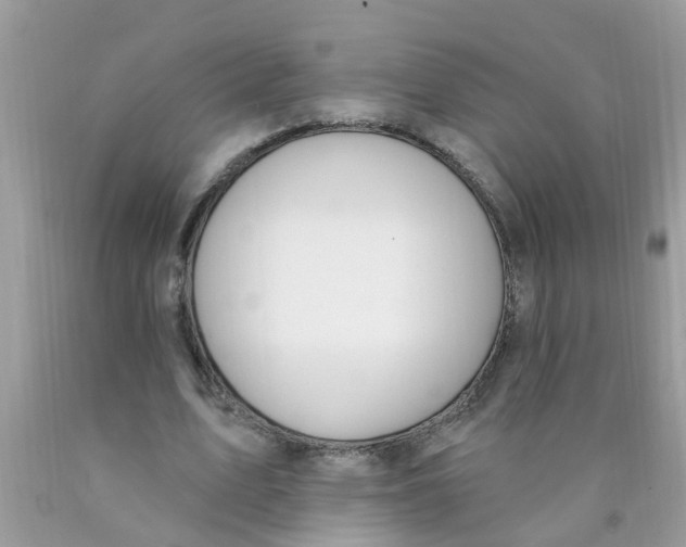 X0000089900583200707262253