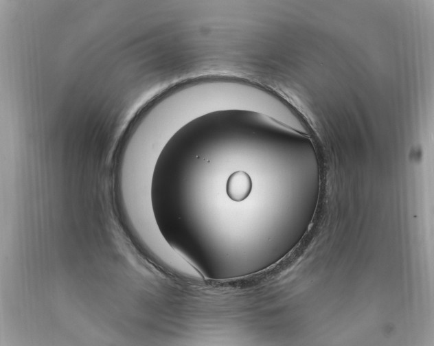 X0000089900584200707262253