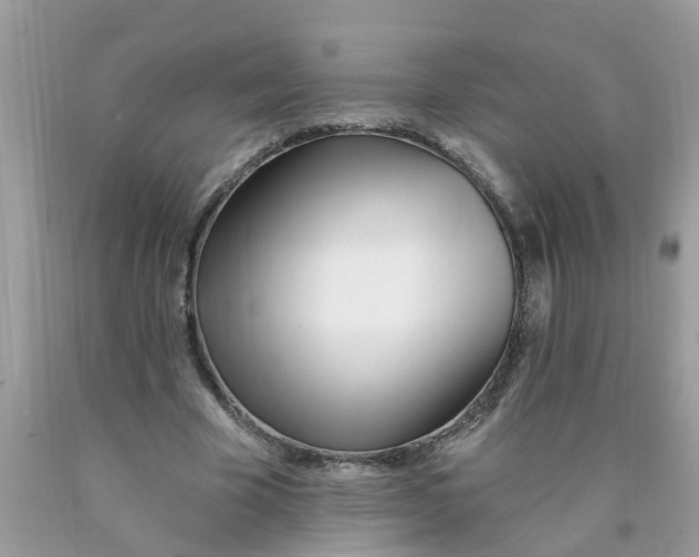 X0000089900585200707262253
