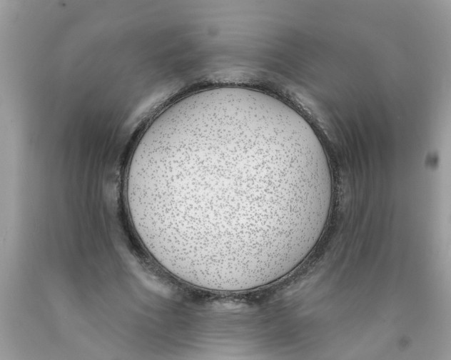 X0000089900586200707262253