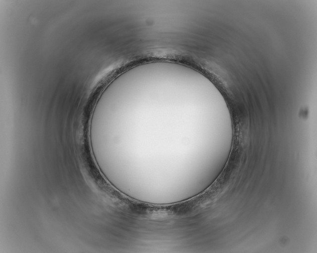 X0000089900587200707262253