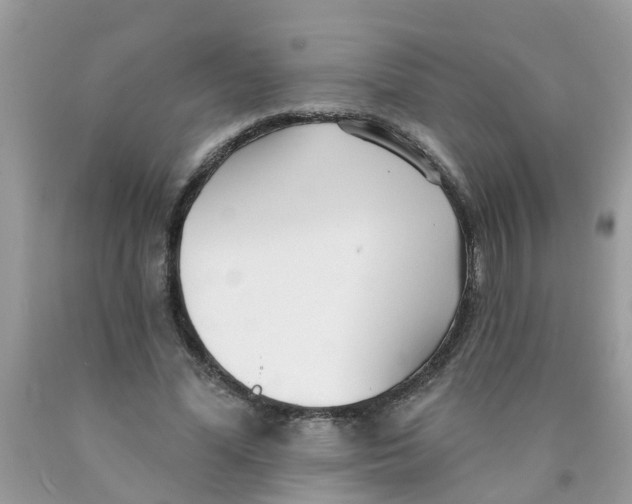 X0000089900588200707262253