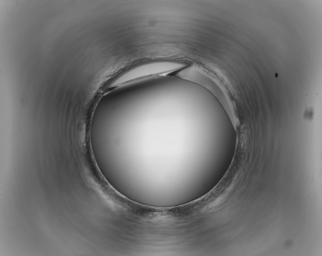 X0000089900589200707262253