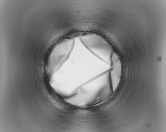 X0000089900590200707262252